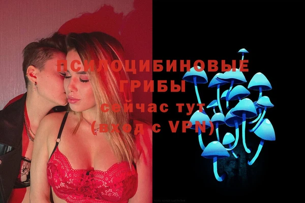 синтетический гашиш Заводоуковск