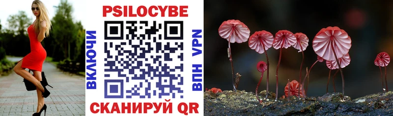 закладка  Каргат  мега сайт  Псилоцибиновые грибы Magic Shrooms 